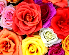 red color increase - 1
