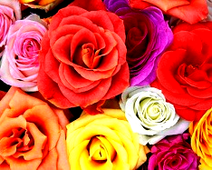 red color  increase - 2