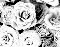 Colors Converted To Light Gray Scale - 3