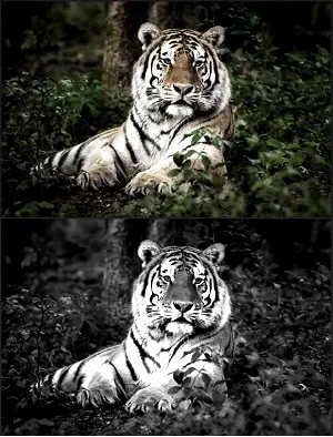 Saturation and black-white adjusted to reduce printing cost