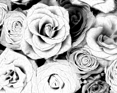 Free Gray Shades Edit