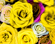 green color enhance - 3
