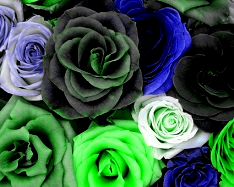Remove Red color- 1
