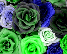 Remove Red color- 2