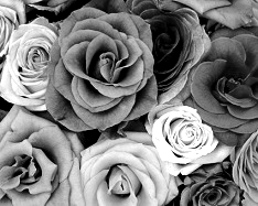 Mono Color, Gray Shades - 1