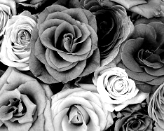 Mono Color, Gray Shades - 2