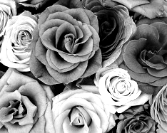 Mono Color, Gray Shades - 3