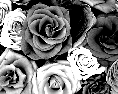 Black and White Edit, for Low Cost Print