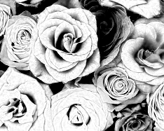Dark Gray Shades